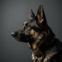 Duman